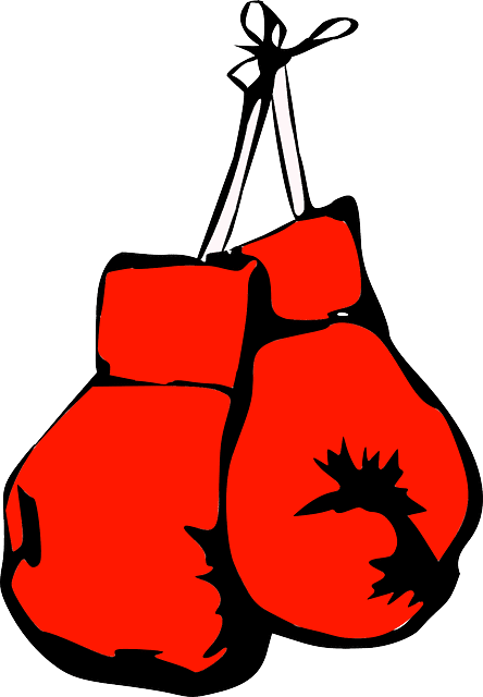 Boxing Gloves